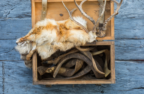 animal horns, poaching