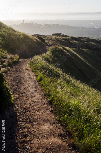 Path Through Sunlit Hills