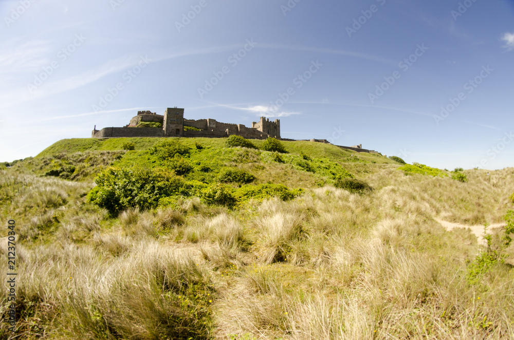Castle on top of grassy Hill