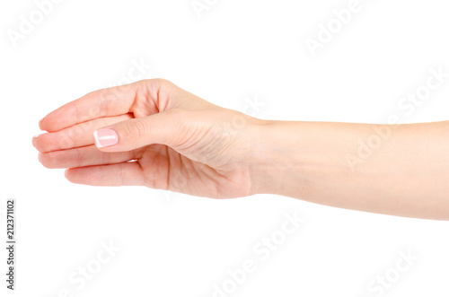 Female hand holding on white background isolation