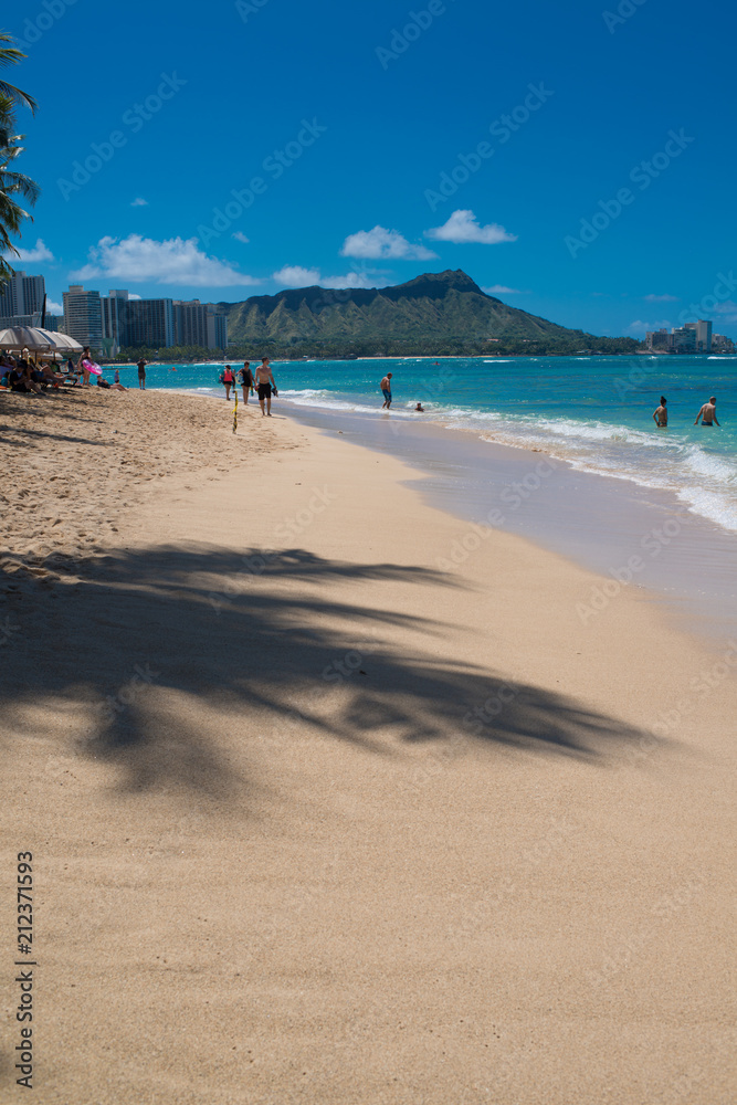 Walking in Hawaii ハワイの散歩