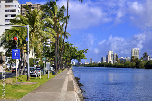 Walking in Hawaii ハワイの散歩 photo