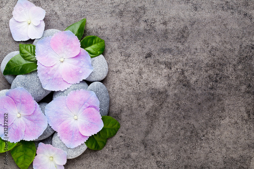 Fototapeta Naklejka Na Ścianę i Meble -  Spa flowers and massage stone, on grey background.