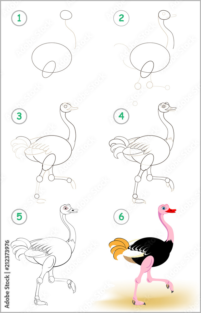 Page shows how to learn step by step to draw a cute ostrich. Developing ...