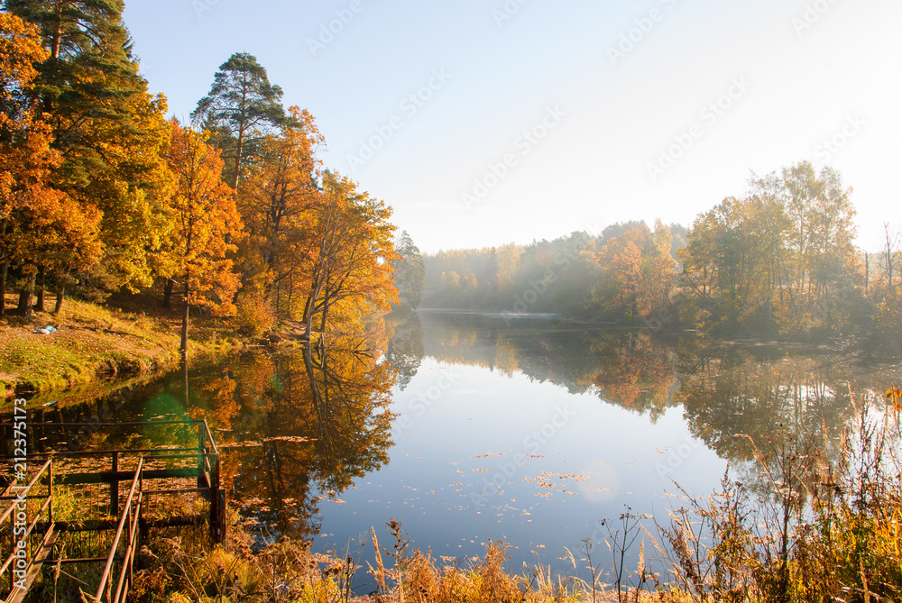Sunny morning in the autumn forest by the lake - obrazy, fototapety, plakaty 