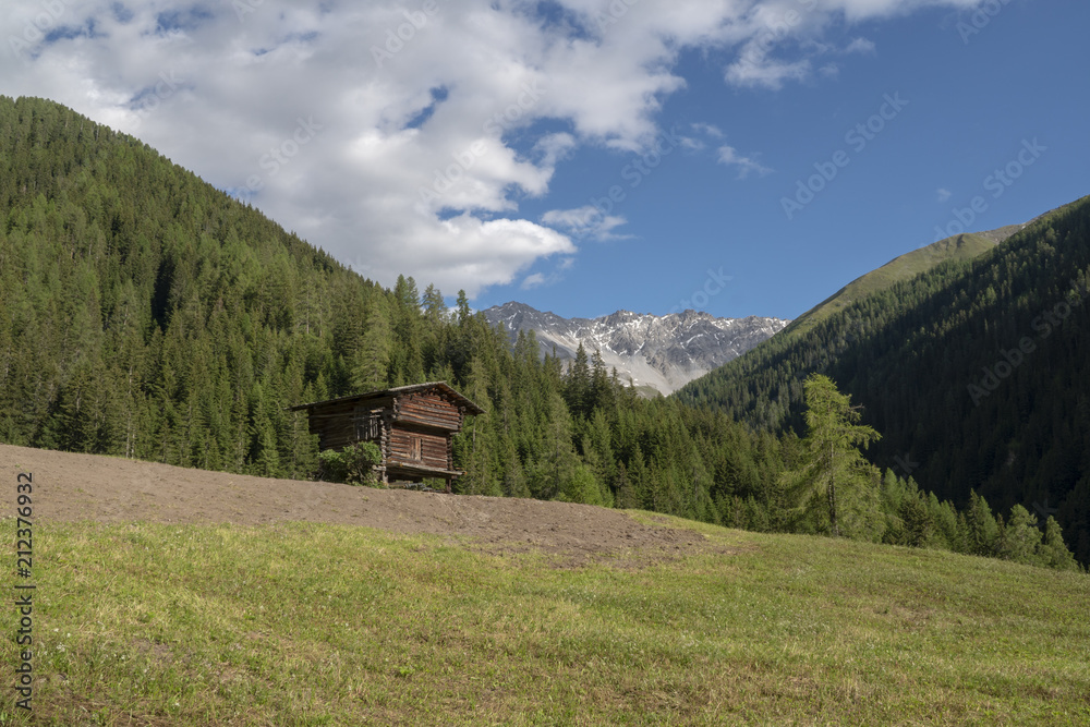 Davos Monstein: Alpweide / Streuwiese mit Spicher