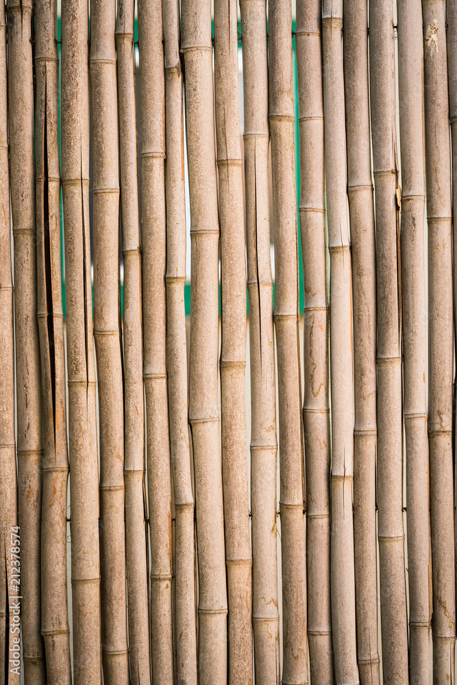 Natural Bamboo Fence Natural Bamboo Fence