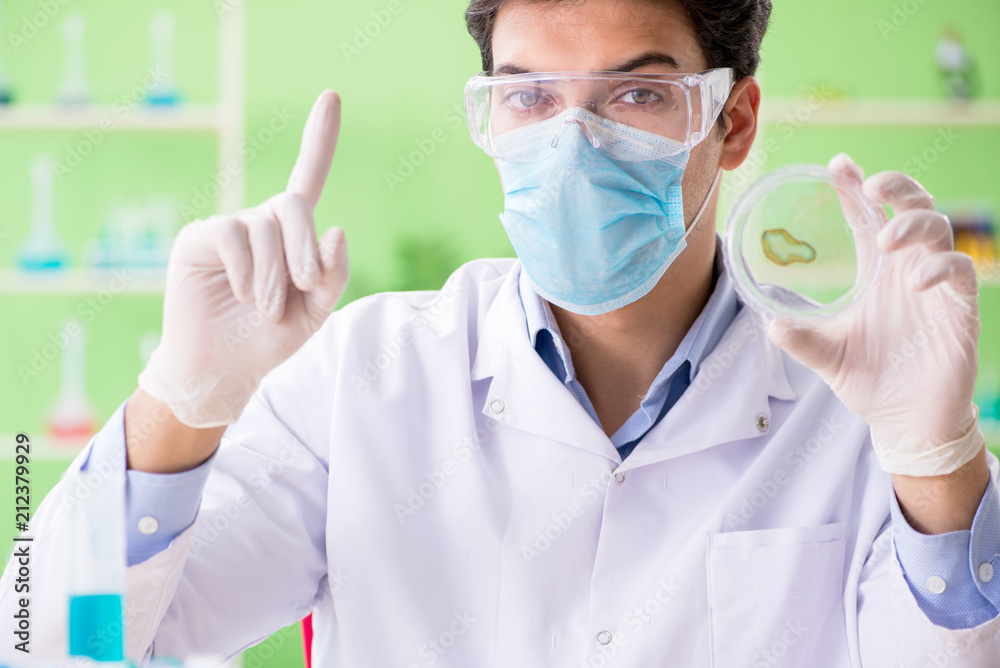 Man chemist working in the lab Man chemist working in the lab