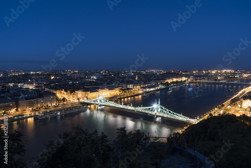 a night view of Freedom Bridge in Budapest, Hungary