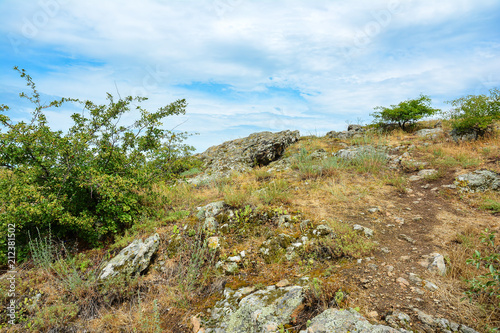 View of rocky hill with granite stones and greenery. Landscape with rocks and blue sky.