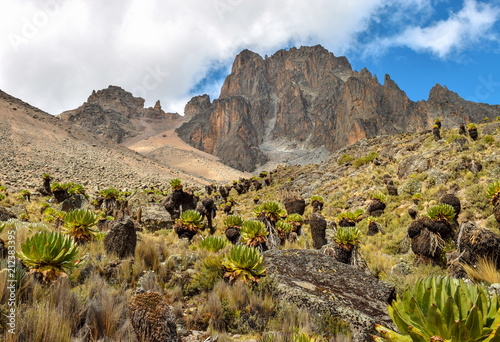 Fototapeta Naklejka Na Ścianę i Meble -  The peaks of Mount Kenya