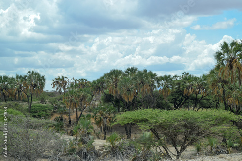 The savannah landscape of Shaba Game Reserve, Kenya