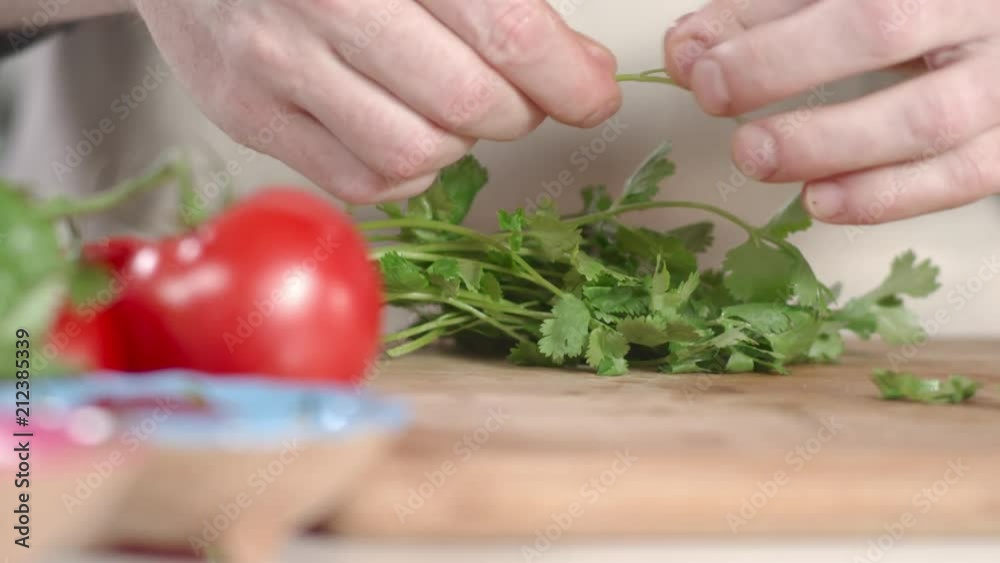Close-up shot of chef picking cilantro over cutting board Close-up shot of chef picking cilantro over cutting board