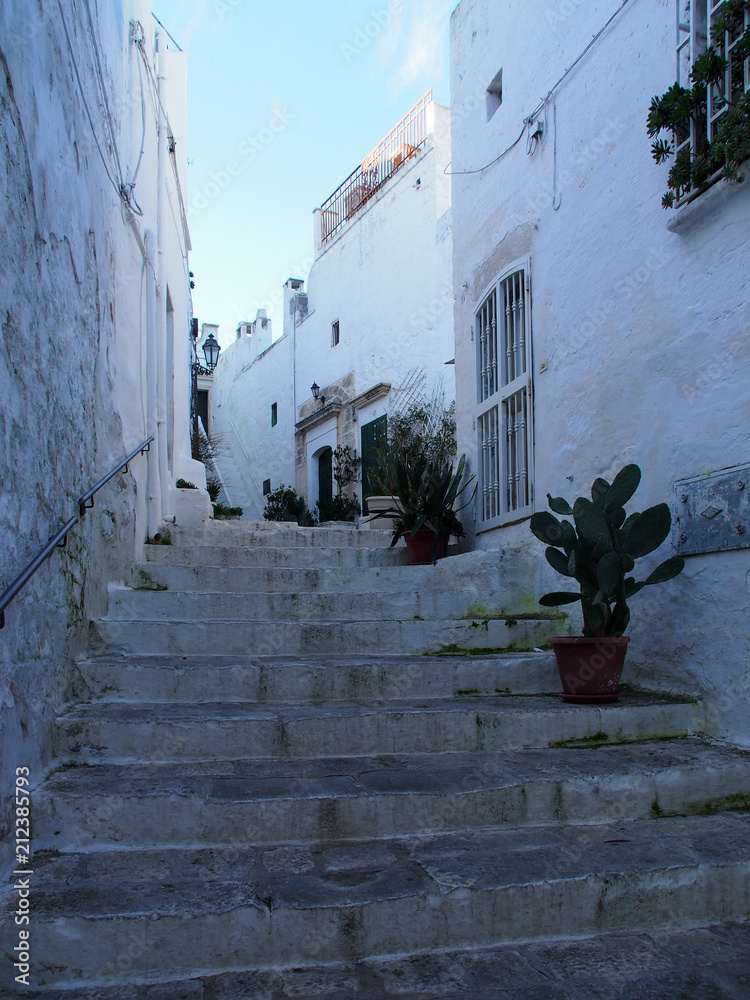 Naklejka premium Ostuni - The white city