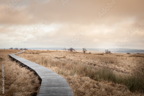Autumn walk in the Hautes Fagnes
