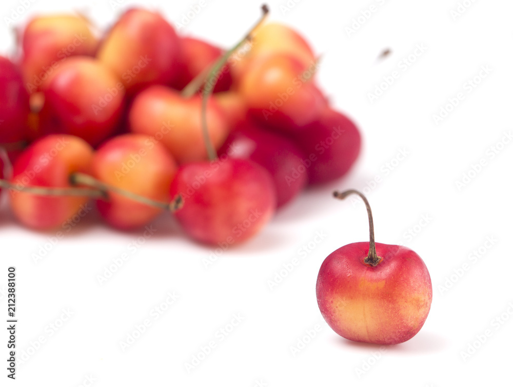 Sweet and Beautiful Red and Yellow Golden Cherries on a White Background Sweet and Beautiful Red and Yellow Golden Cherries on a White Background