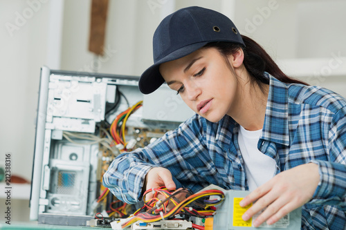 Wallpaper Mural Woman repairing computer Torontodigital.ca