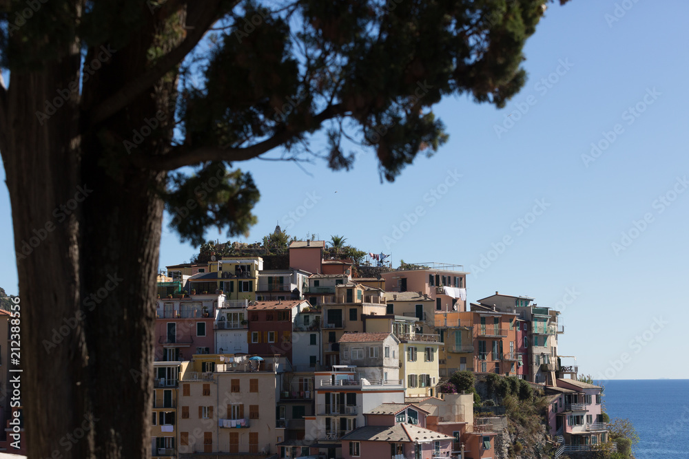 Fototapeta premium Detail cityscape of Manarola, Italy, with tree in the foreground