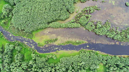 Fotografía Aerial landscape- natural river