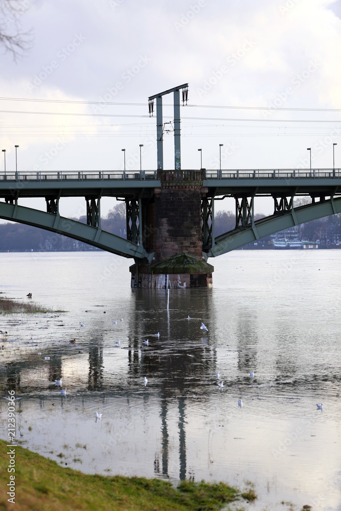 Blick von Poller Wiesen auf Südbrücke bei Rhein-Hochwasser Blick von Poller Wiesen auf Südbrücke bei Rhein-Hochwasser