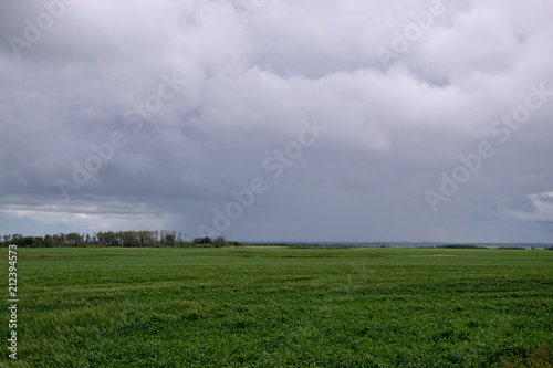 Wheat crops under cloud cover, Saskatchewan, Canada. © royalkangas