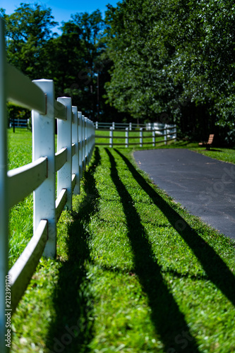 Fence and Path