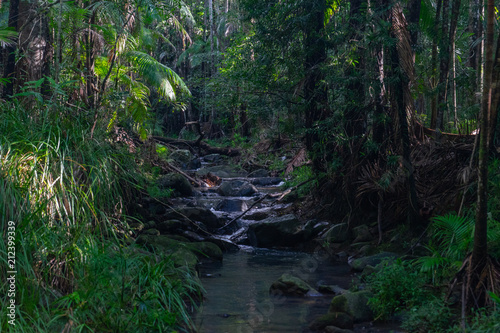 Obraz na płótnie Nuderim Falls Queensland w salonie