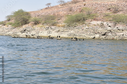 kalyana lake jodhpur rajasthan india