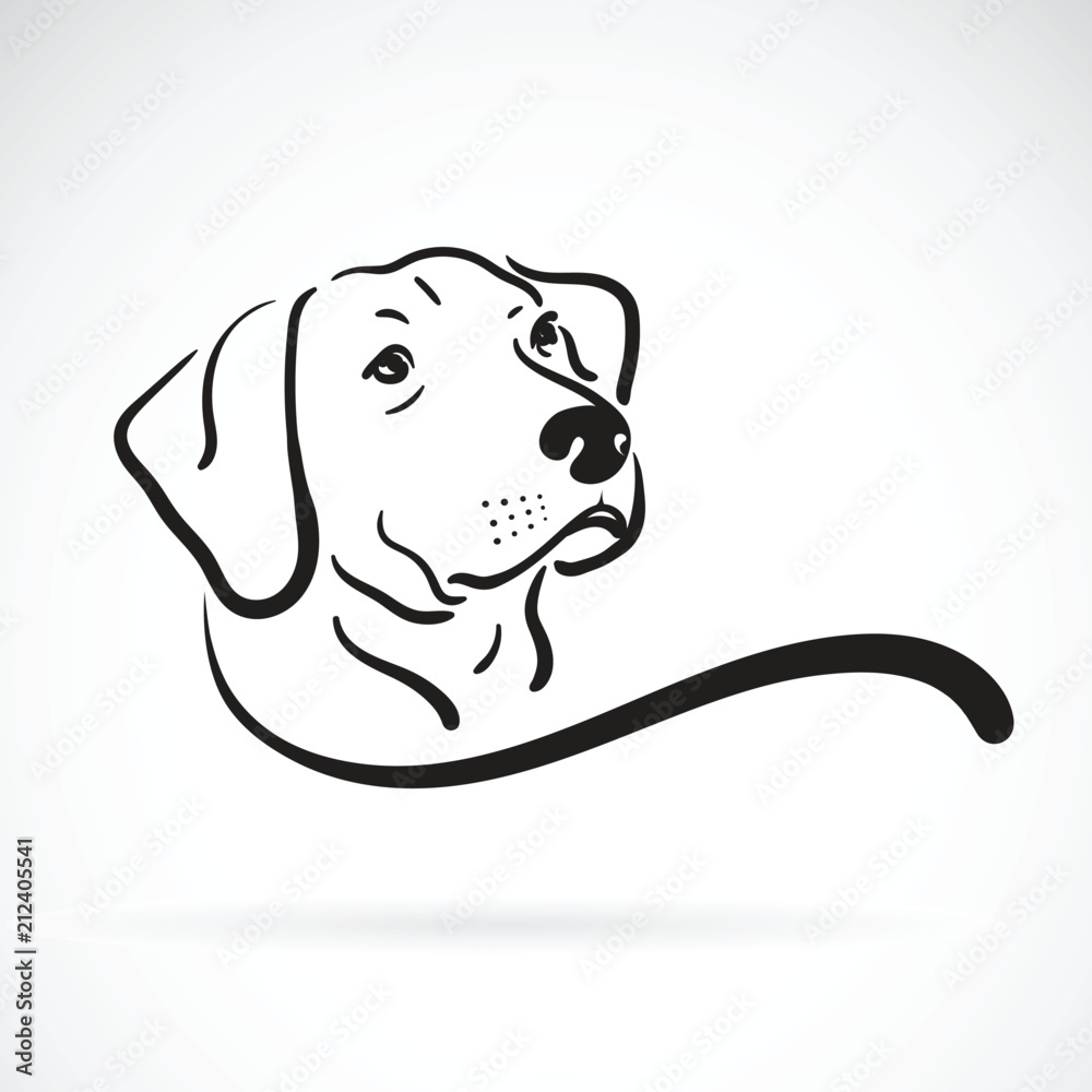 Vector of labrador dog head design on white background., Pet., Animals. Easy editable layered vector illustration. - obrazy, fototapety, plakaty 