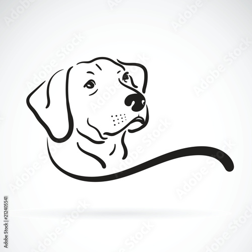 Vector of labrador dog head design on white background., Pet., Animals. Easy editable layered vector illustration. photo
