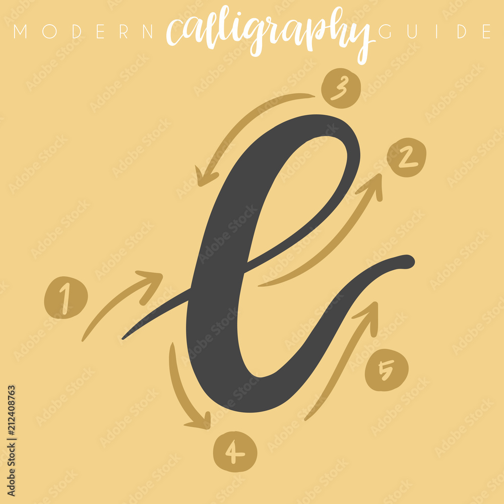 Fototapeta premium Modern Calligraphy Guide : Vector Illustration