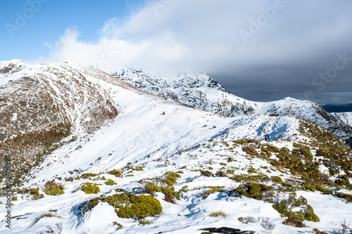The stunning landscape of the snowy mountain on a foggy misty cloudy day. Kahurangi national park, New Zealand.