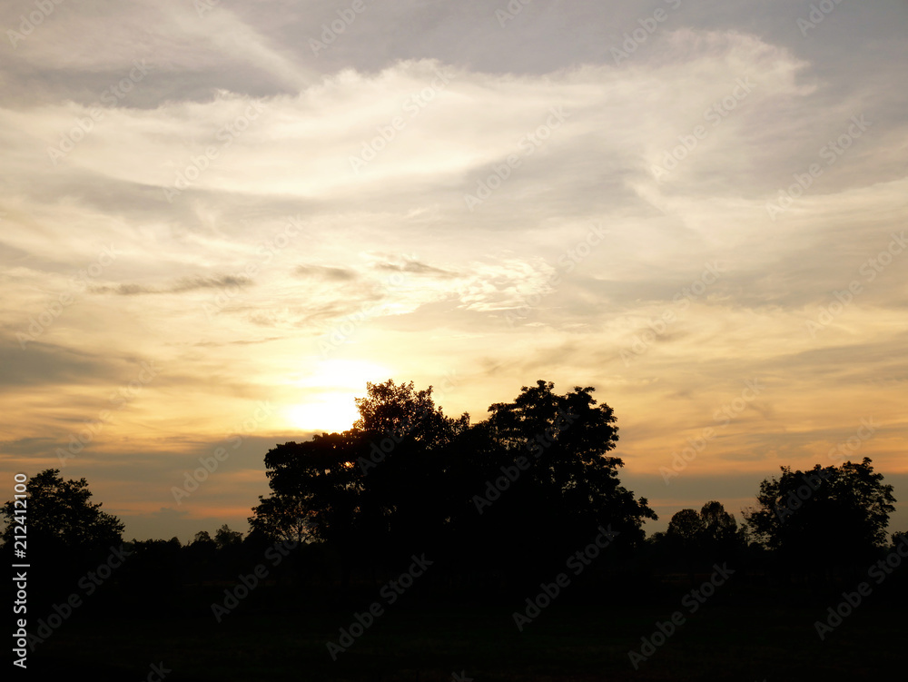 Beautiful Sunset, sunlight and tree field landscape in the evening.