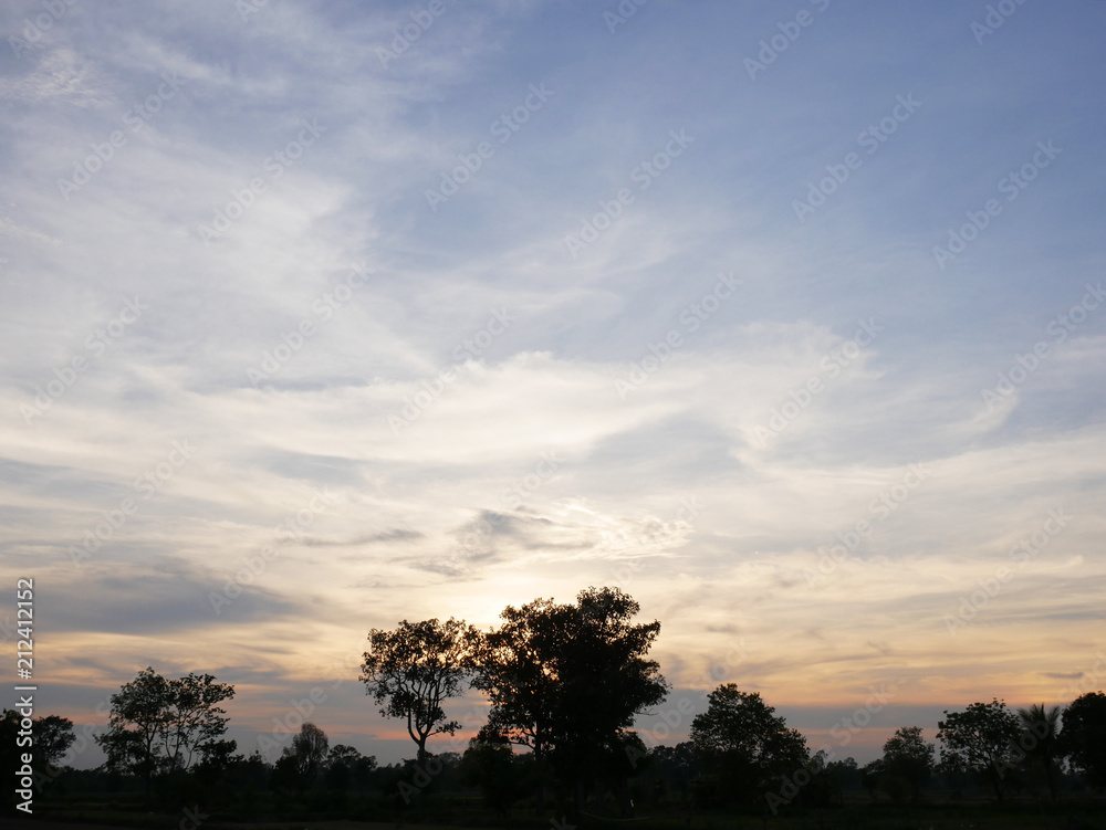 Beautiful Sunset, sunlight and tree field landscape in the evening.