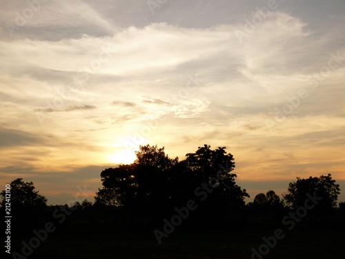 Fototapeta Naklejka Na Ścianę i Meble -  Beautiful Sunset, sunlight and tree field landscape in the evening.