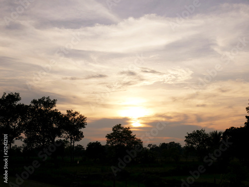 Beautiful Sunset, sunlight and tree field landscape in the evening.