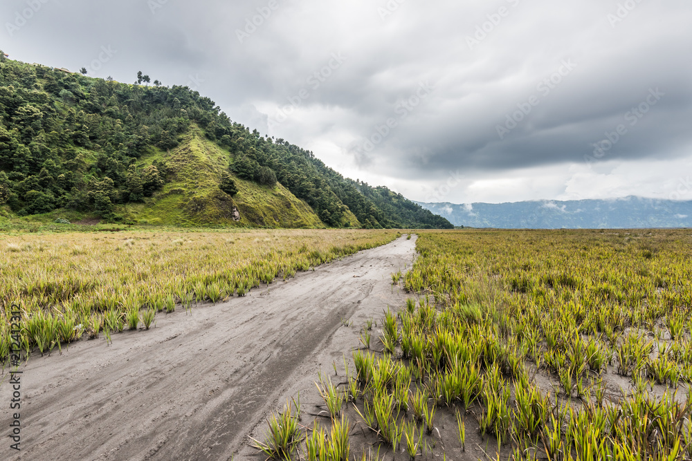 path through grassland under cloudy sky with mountain as background