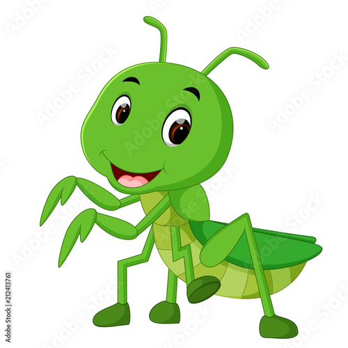 Praying mantis cartoon
