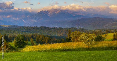 mountain meadow at the foot of the mountains- spring panorama of the Tatra Mountains  Poland