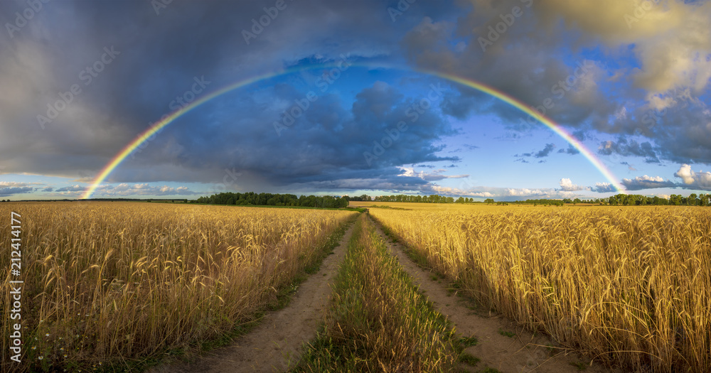 rainbow over the field after a morning downpour rainbow over the field after a morning downpour