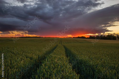 beautiful  at the same time dramatic storm clouds over the field at sunrise