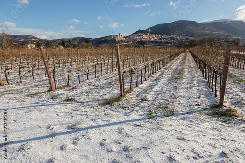 View of Assisi town (Umbria) in winter, with a vineyard field covered by snow and blue sky with white clouds