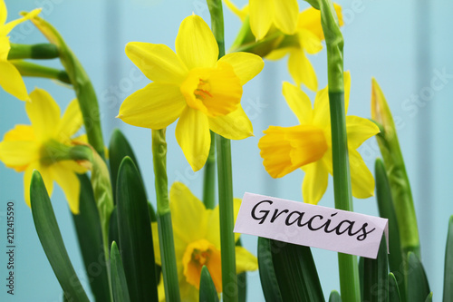 Fototapeta Naklejka Na Ścianę i Meble -  Gracias (thank you in Spanish) card with yellow daffodils
