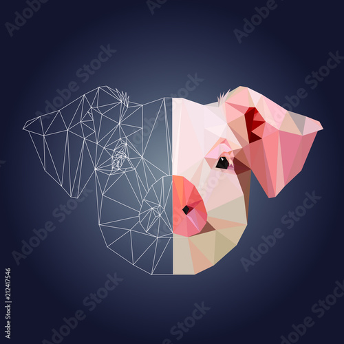 Low poly and wireframe piglet face on dark background, vector illustration EPS 10 isolated.  Polygonal style trendy modern logo design. Suitable for printing on a t-shirt or sweatshirt, shirt design.