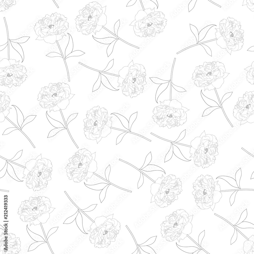 Peony Flower Outline Seamless Background Peony Flower Outline Seamless Background