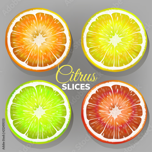 Set of slices of citrus fruits. Vector illustration.