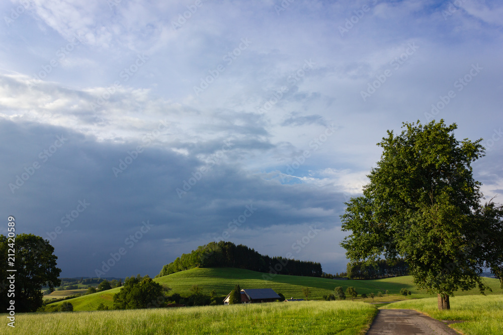 Naklejka premium allgau south bavarian landscape