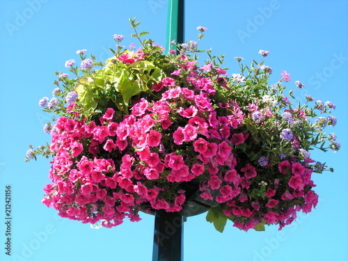 Fleurs