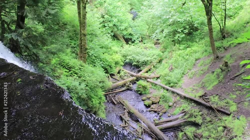 panning from cliff falls to forest bellow panning from cliff falls to forest bellow