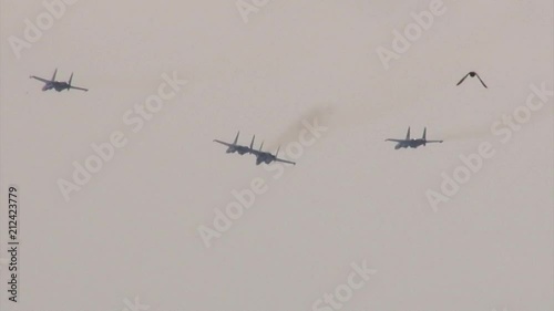 Jet fighters, Strizhi photo
